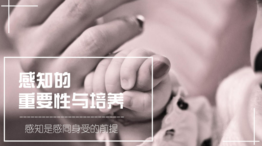 感知的重要性与培养 感知的重要性与培养