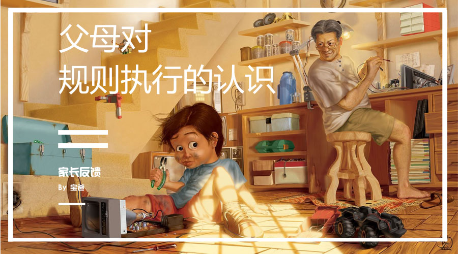 父母对规则执行的认识 父母对规则执行的认识