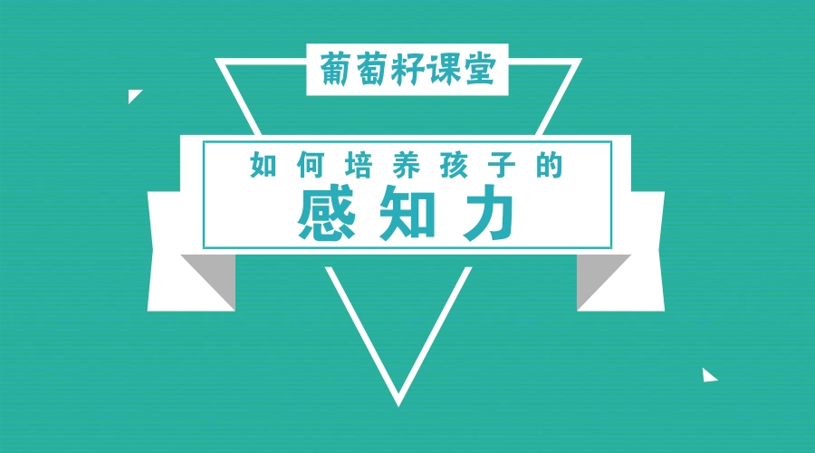 如何培养孩子的感知力 如何培养孩子的感知力