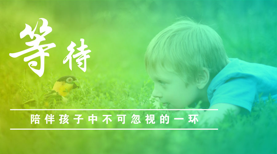 等待——陪伴孩子中不可忽视的一环 等待——陪伴孩子中不可忽视的一环