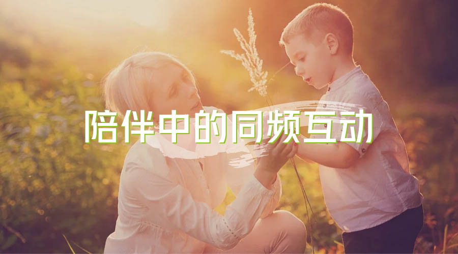 陪伴中的同频互动 陪伴中的同频互动