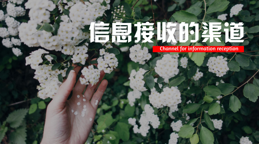 信息接受的渠道 信息接受的渠道