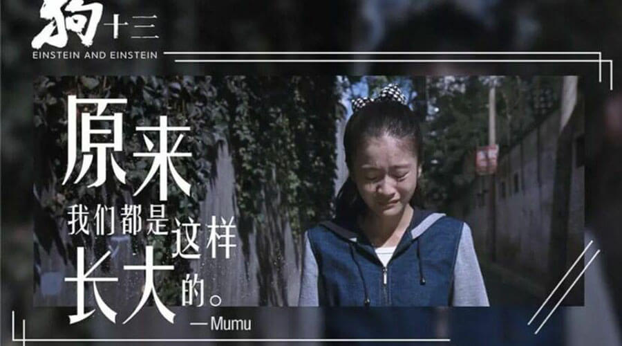 《狗十三》:孩子“听话懂事”是种悲剧,是中国式家庭教育的悲哀 《狗十三》:孩子“听话懂事”是种悲剧,是中国式家庭教育的悲哀