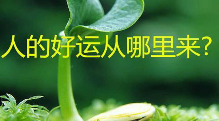为什么有的人运气特别好?心理学家:幸运的人通常有这3种心态 为什么有的人运气特别好?心理学家:幸运的人通常有这3种心态