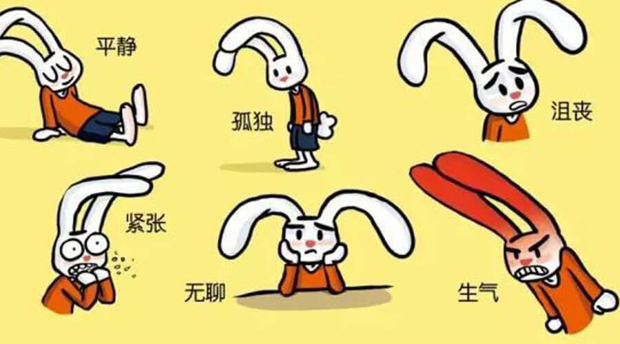 成年人的世界,面对负面情绪应该如何管理? 成年人的世界,面对负面情绪应该如何管理?